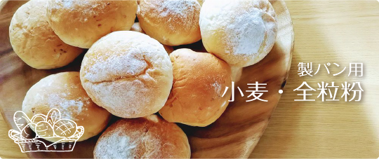 製パン用　小麦・全粒粉