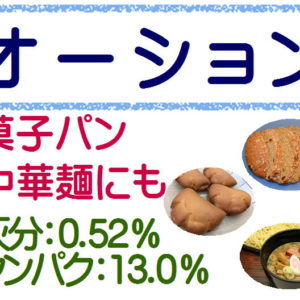 オーション 1kg 強力粉 日清製粉 強力小麦粉 パン用粉 小麦粉 パン作り 食パン ホームベーカリー パン材料 パン 小麦 こむぎこ 麦 粉 ぱん メリケン粉 1キロ オーション粉 Kt Food Lab